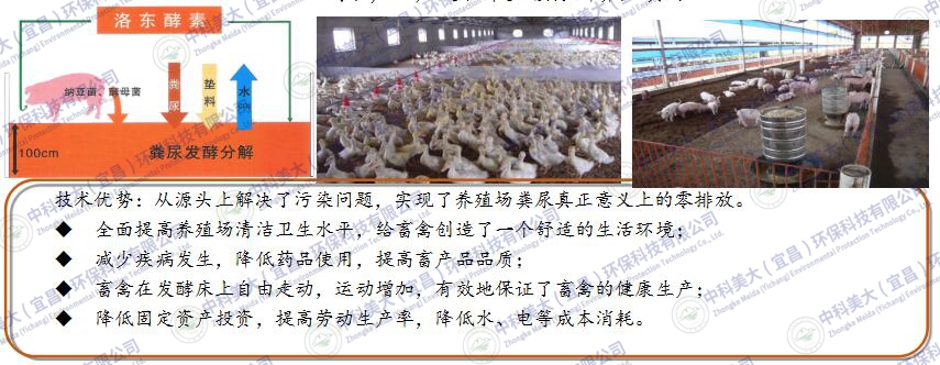 &#24320;&#20113;&#32593;&#39029;&#29256;&#45;&#24320;&#20113;&#40;&#20013;&#22269;&#41;