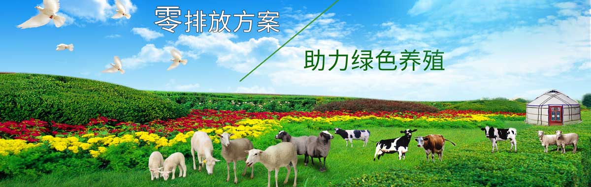&#24320;&#20113;&#32593;&#39029;&#29256;&#45;&#24320;&#20113;&#40;&#20013;&#22269;&#41;